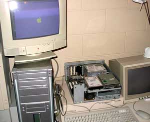 danamania-desk.jpg